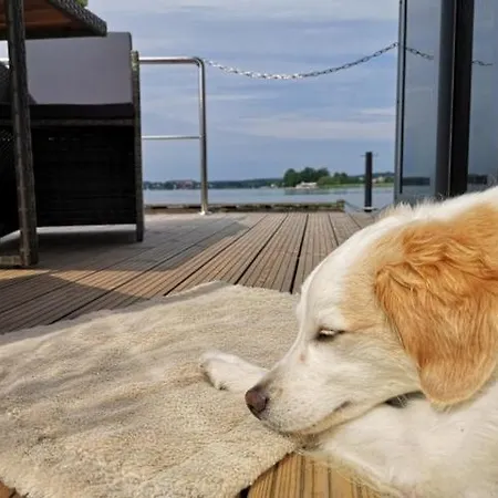 Botel Hausboot Fjord Dory Mit Biosauna In Schleswig